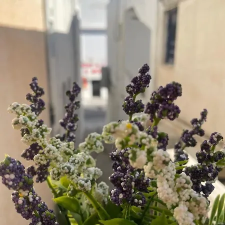 Apartmán Portara Gem Naxos City