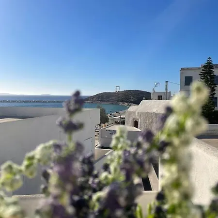 公寓 Portara Gem Naxos City